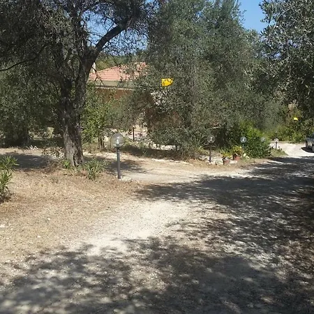 Sara Oda ve Kahvaltı Sassari