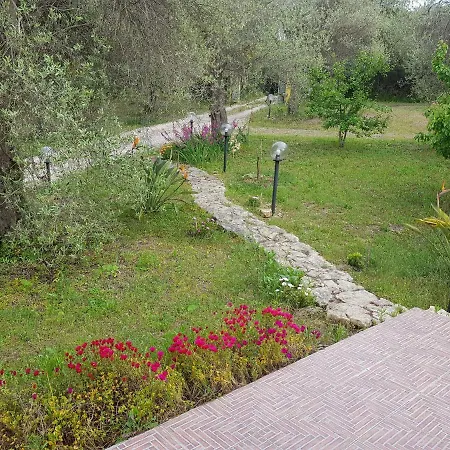 Sara Sassari